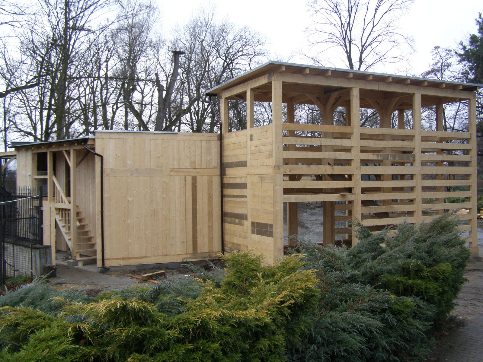 New enclosure for Eurasian lynxes and wildcats - under construction