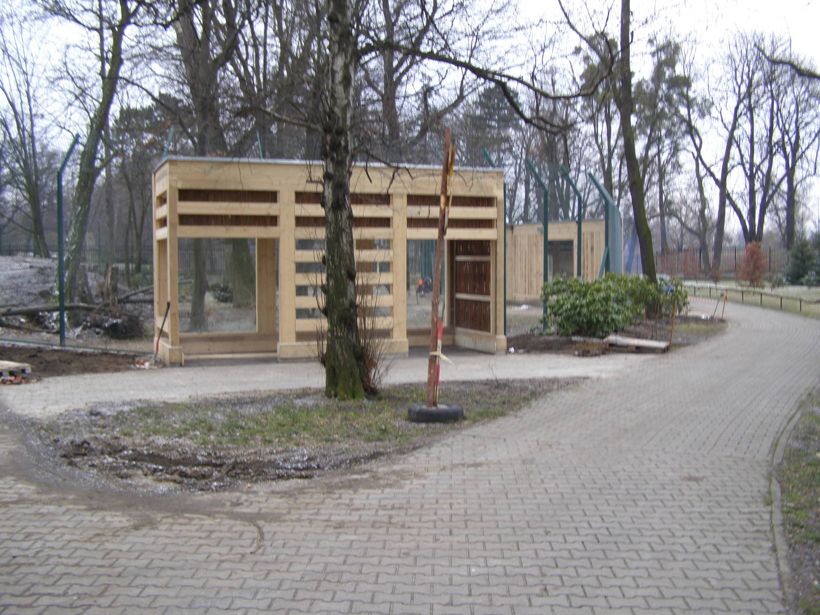 New enclosure for Eurasian lynxes and wildcats - under construction