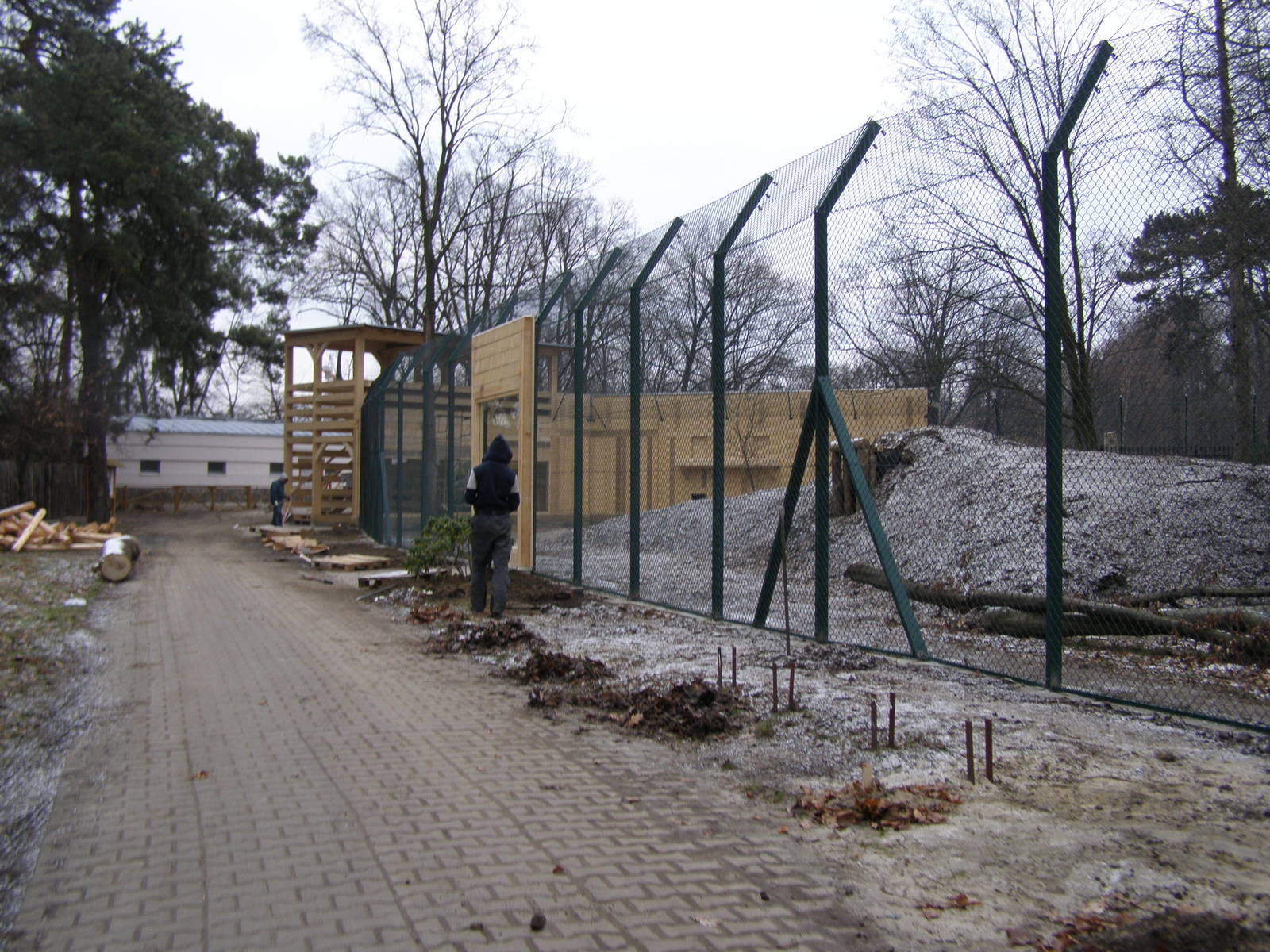 New enclosure for Eurasian lynxes and wildcats - under construction