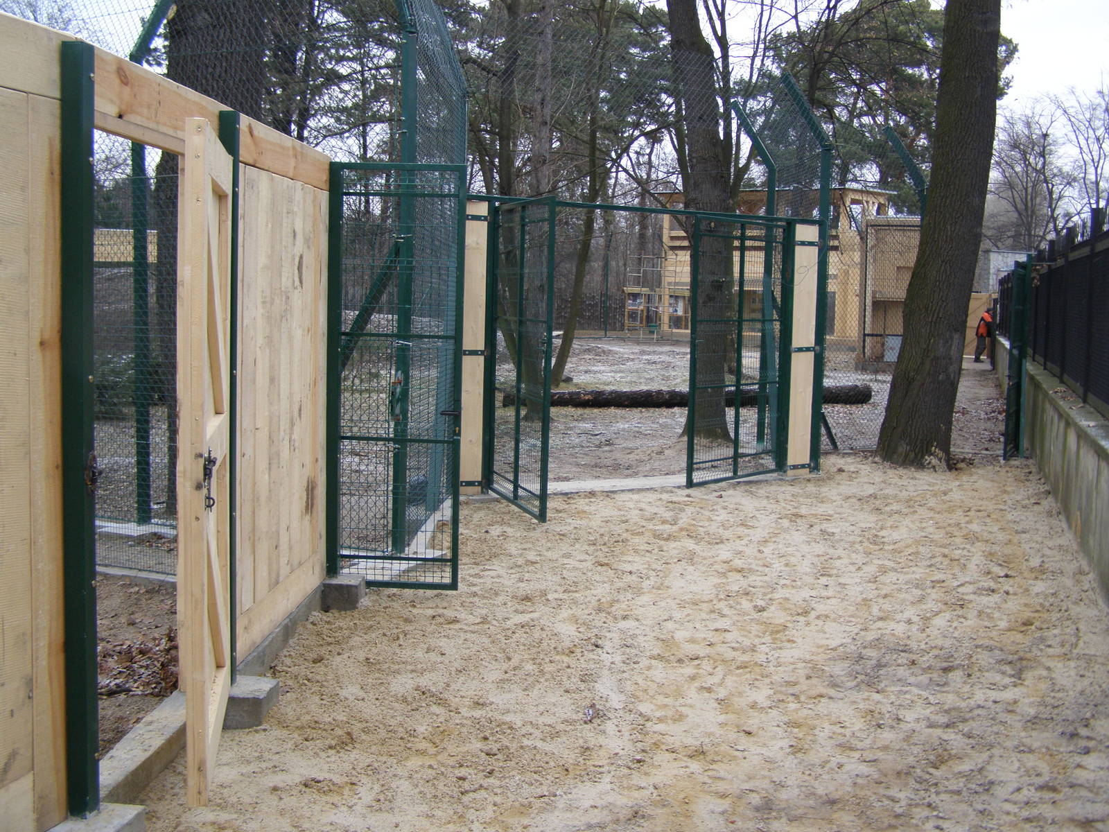 New enclosure for Eurasian lynxes and wildcats - under construction