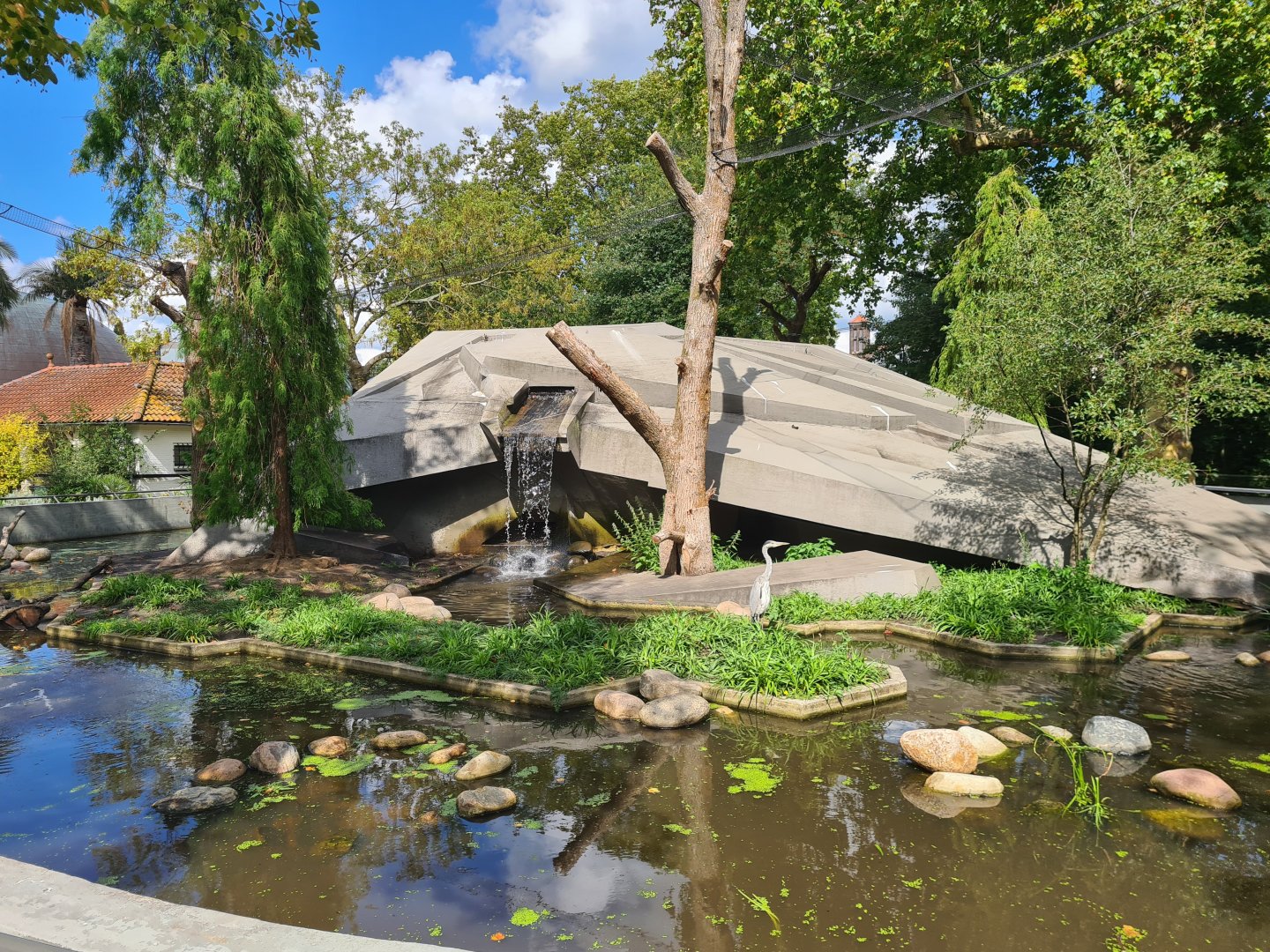 New enclosure for red panda and Small-clawed otter