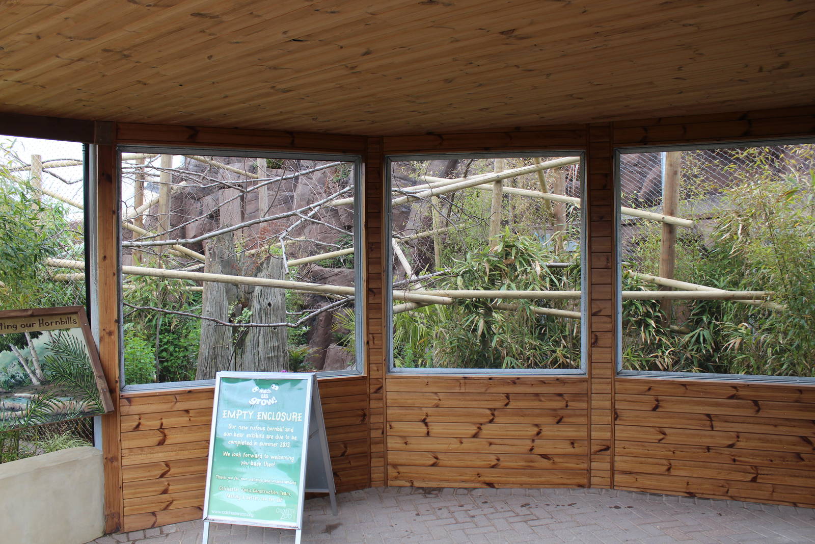 New enclosure for rufous hornbills, June 2013