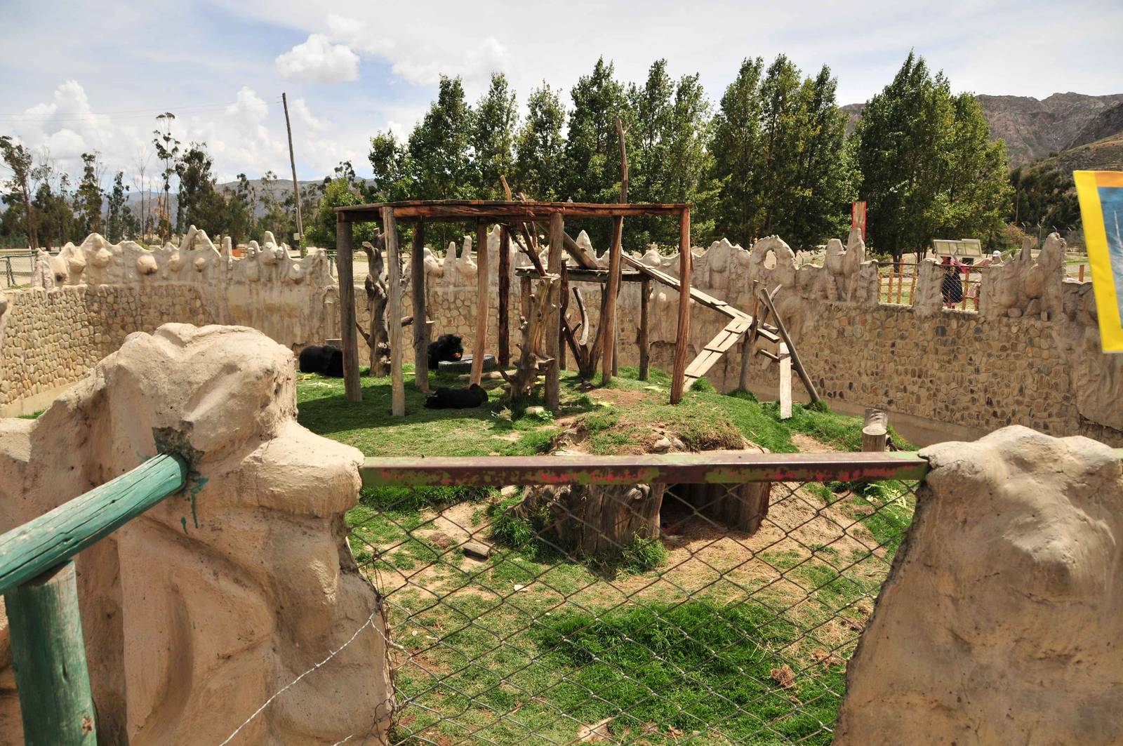 New enclosure for Spectacled Bear (Tremarctos ornatus)
