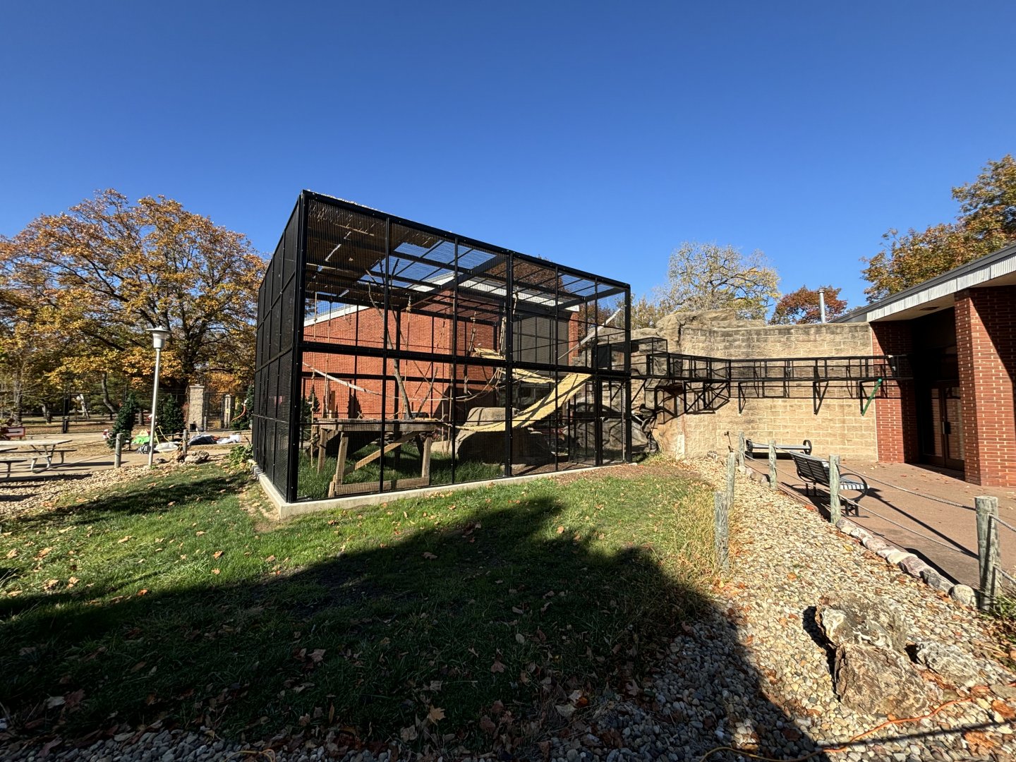 New Enclosure for Spider Monkeys and Ring Tail Lemurs