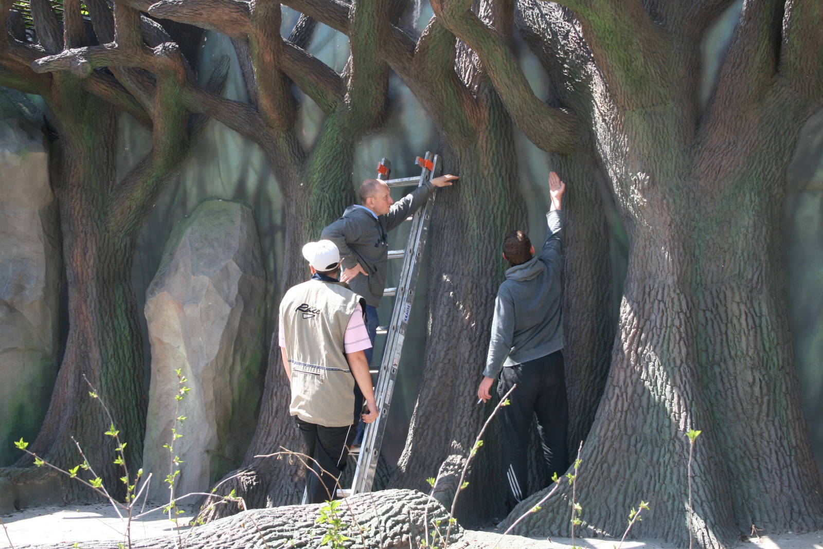 New enclosure for the bears, Summer 2011 (5)