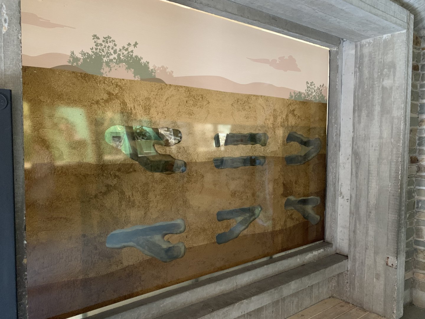 New enclosure in the monkey house