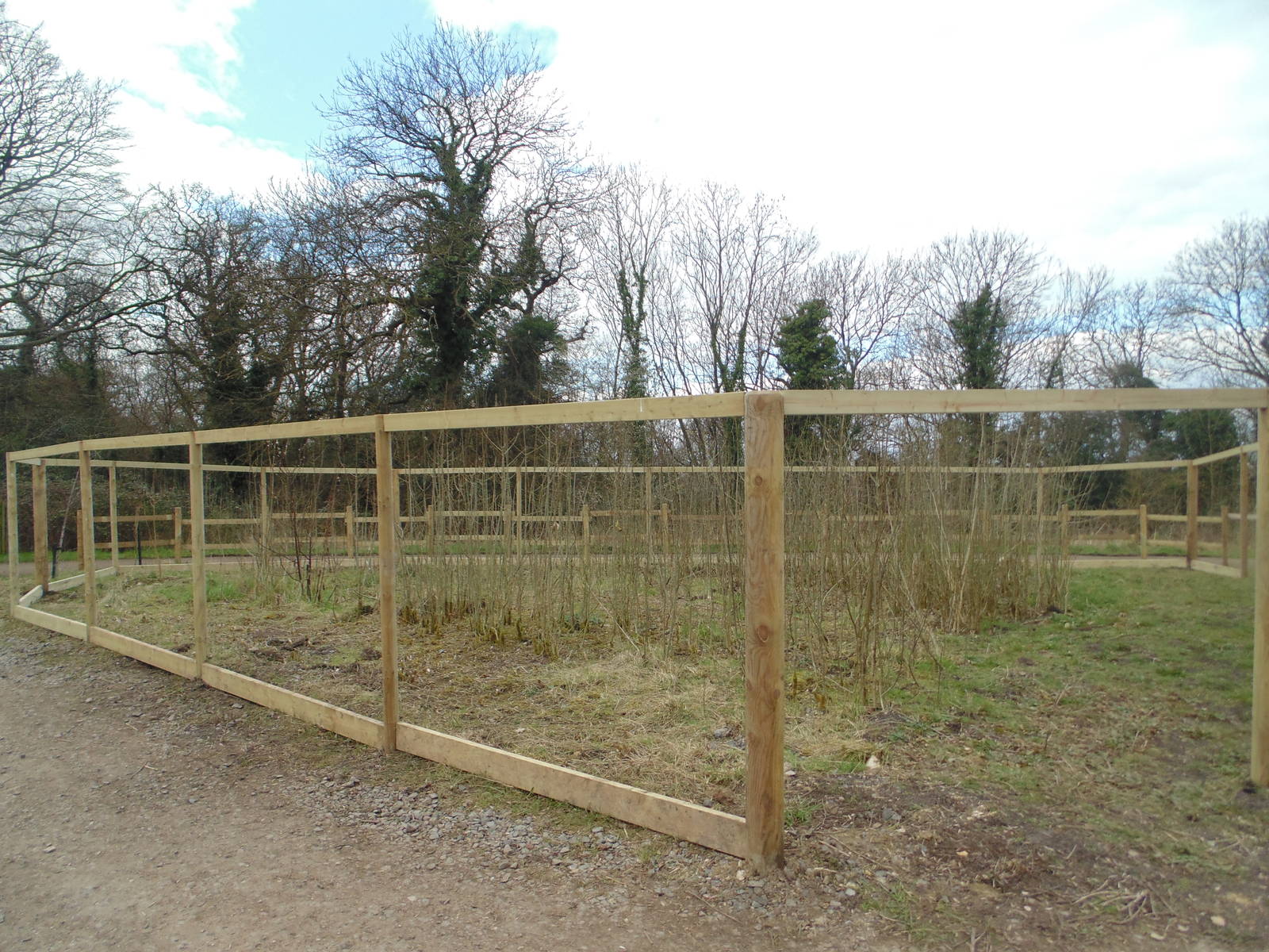 New enclosure next to White Belted Ruffed Lemur
