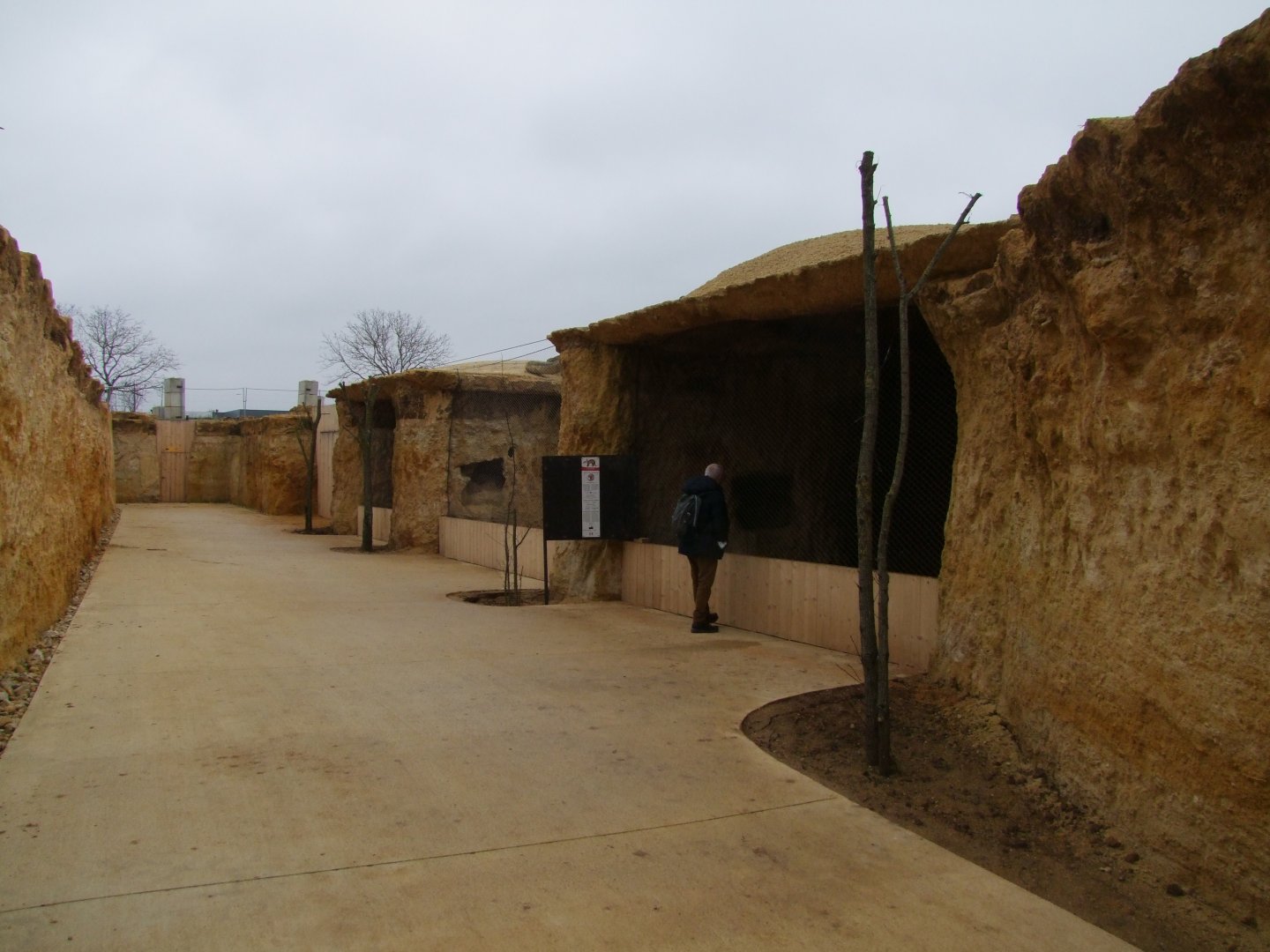 New enclosure of Orycteropus afer