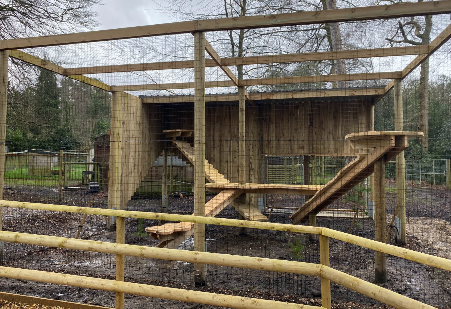 New enclosure, under construction, New Forest Wildlife Park