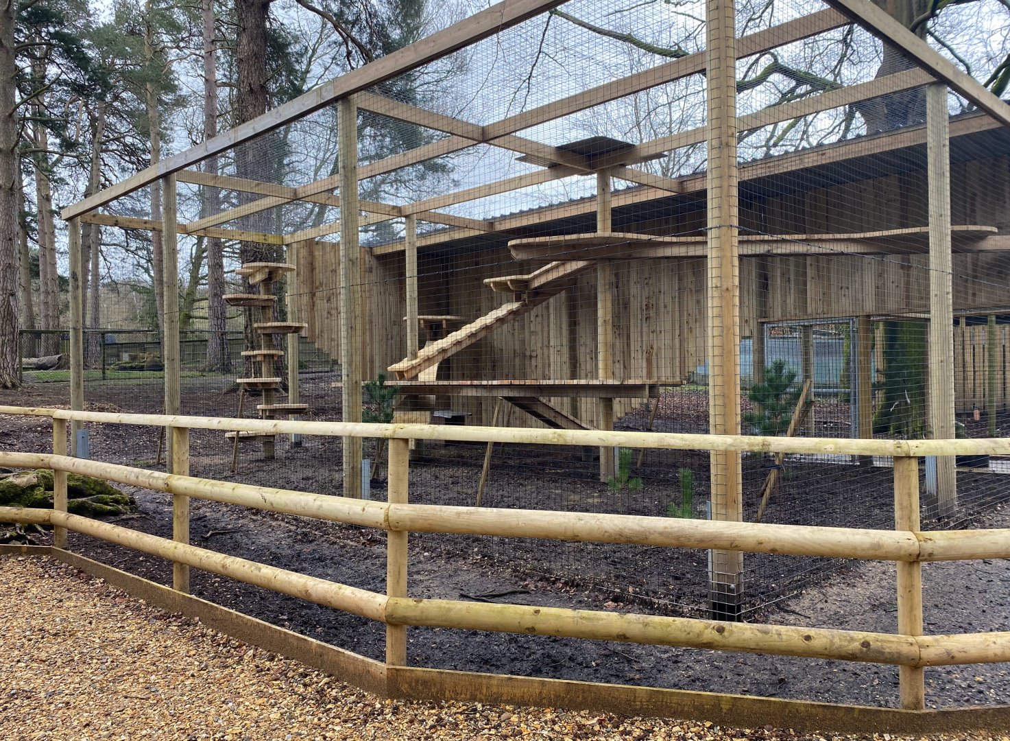 New enclosure, under construction, New Forest Wildlife Park