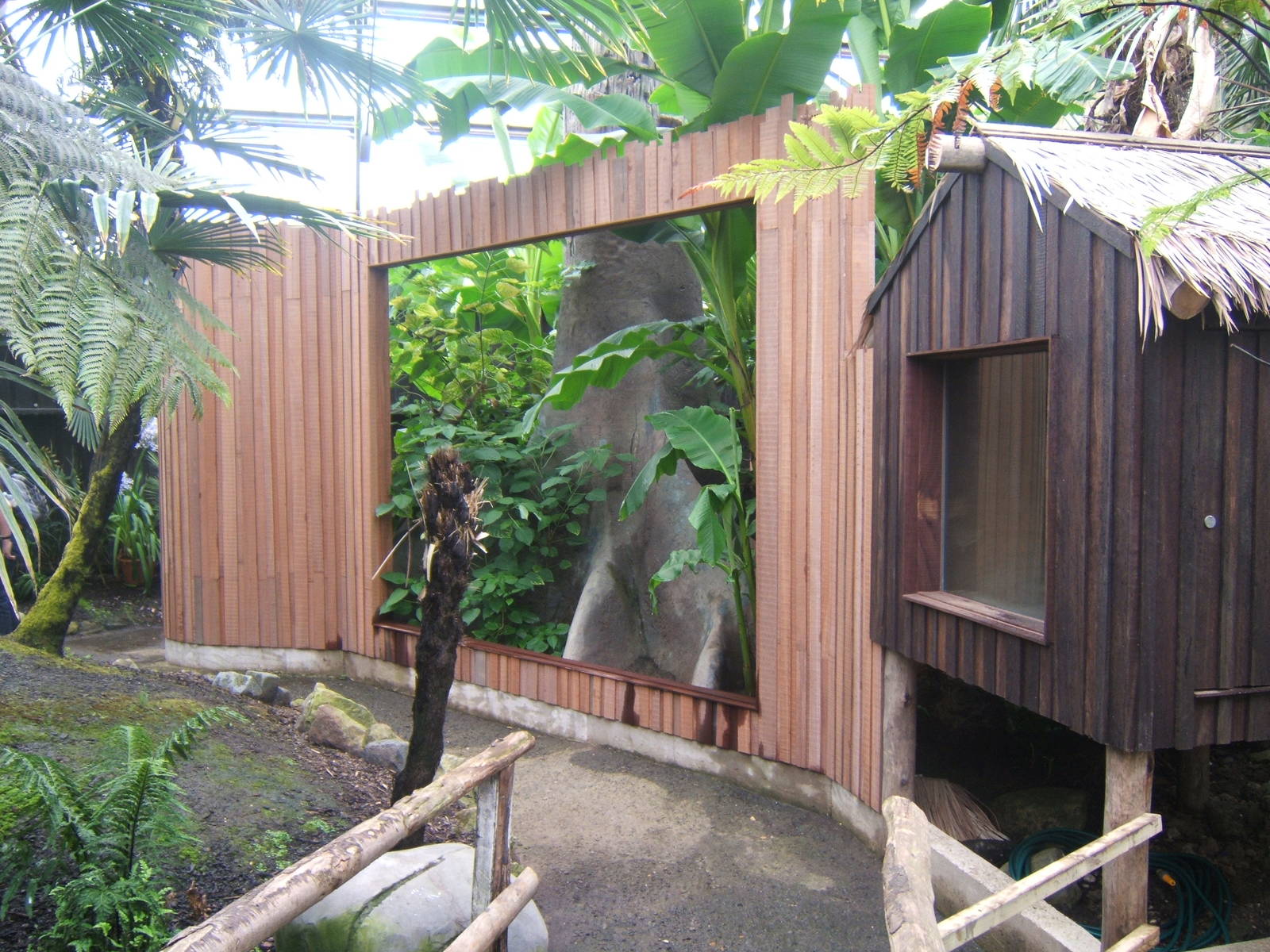 New enclosure under construction