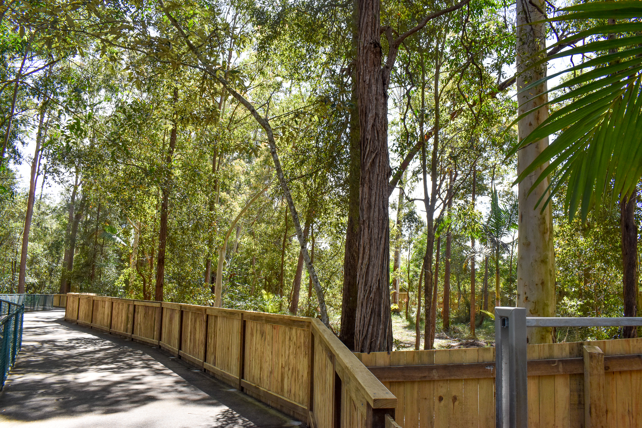 New Enclosure (under construction)