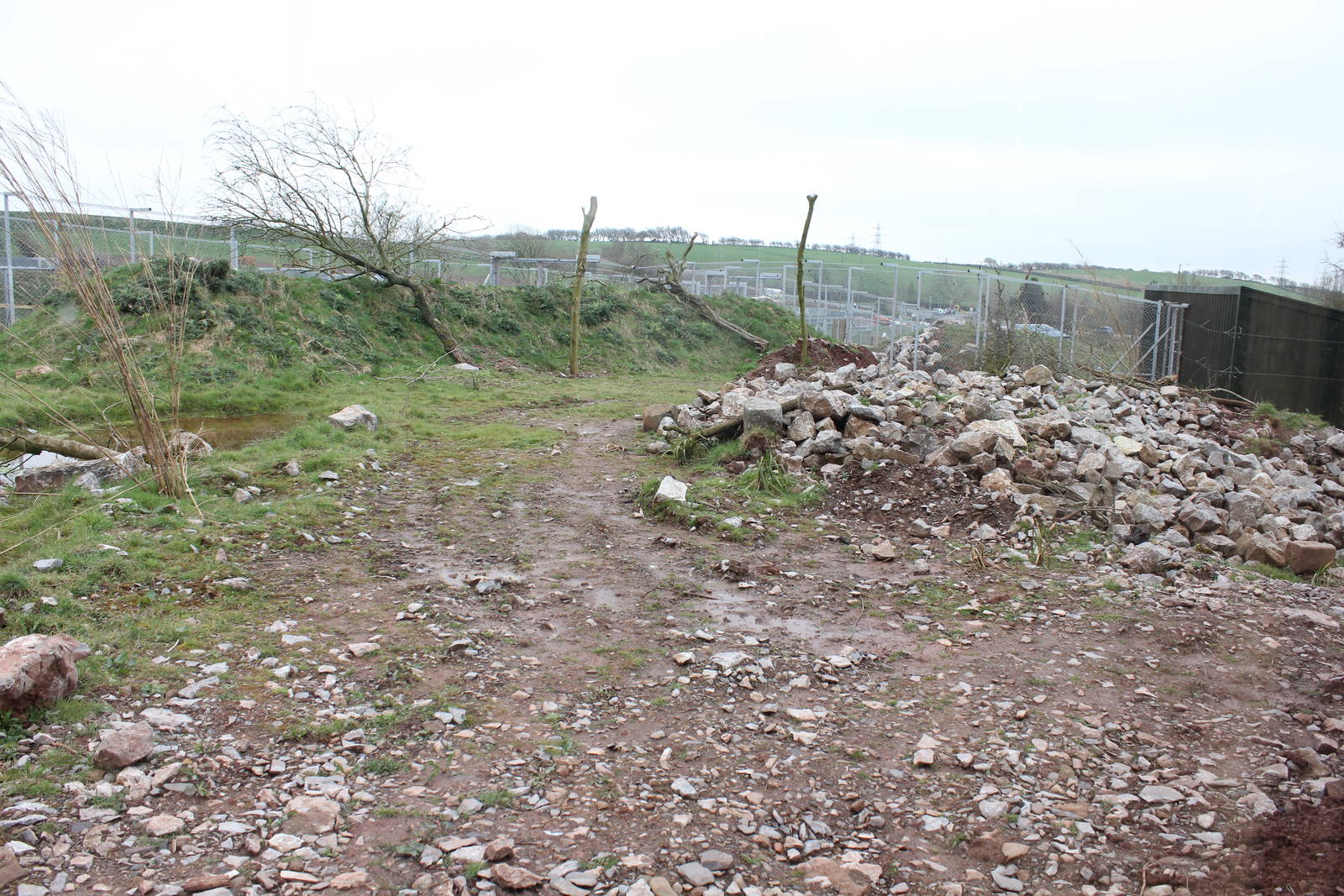 New enclosure. Wolf maybe?1-4-14