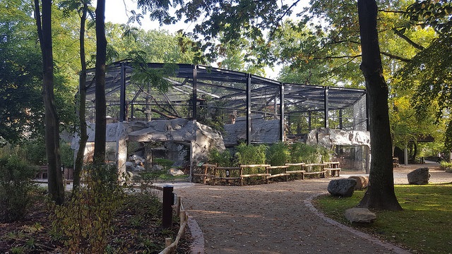 New enclosures for Persian leopards - 25.09.2017