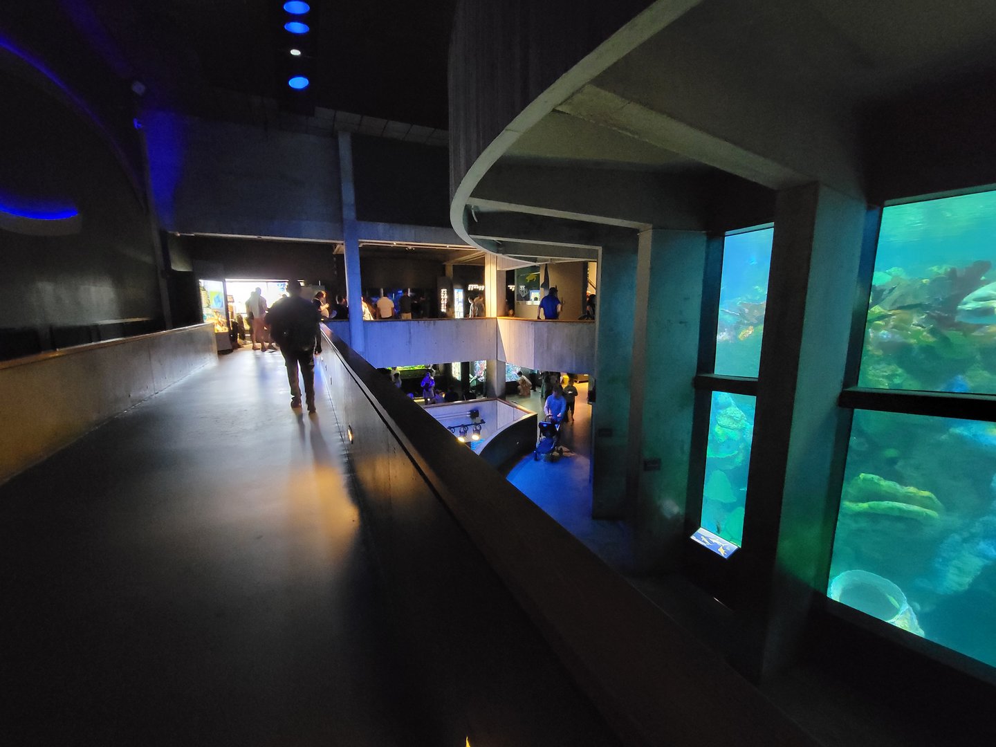 New England Aquarium - Center tank, paths around it