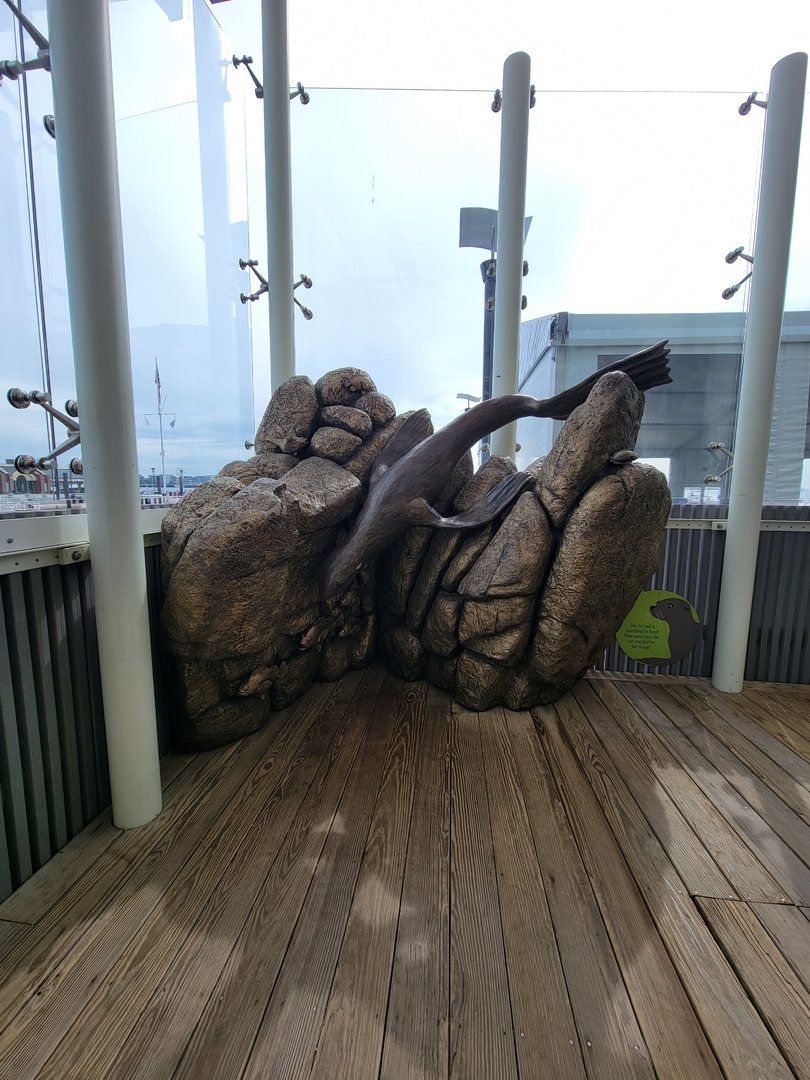 New England Aquarium - Fur seal statue