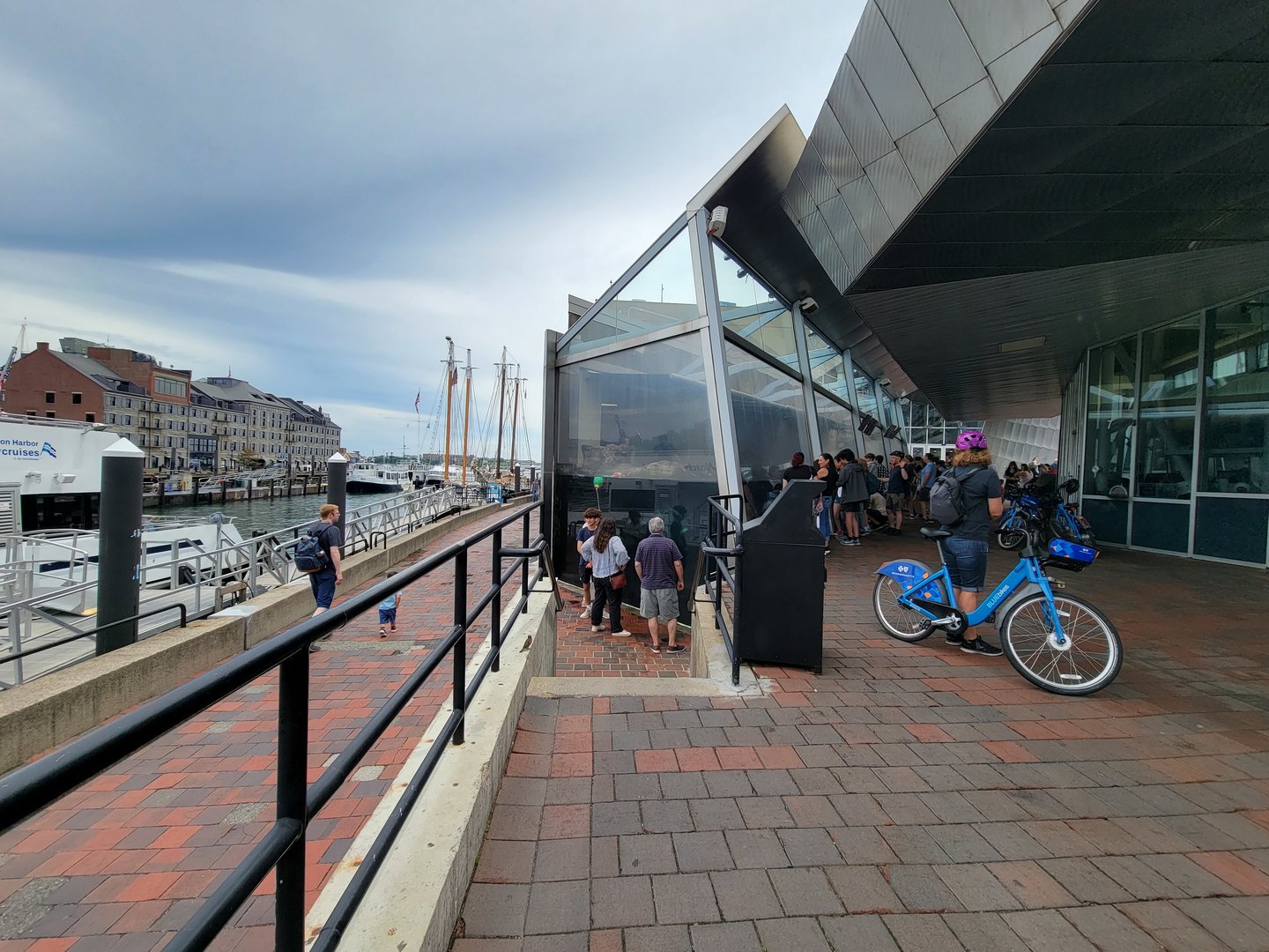 New England Aquarium - Harbor Seals