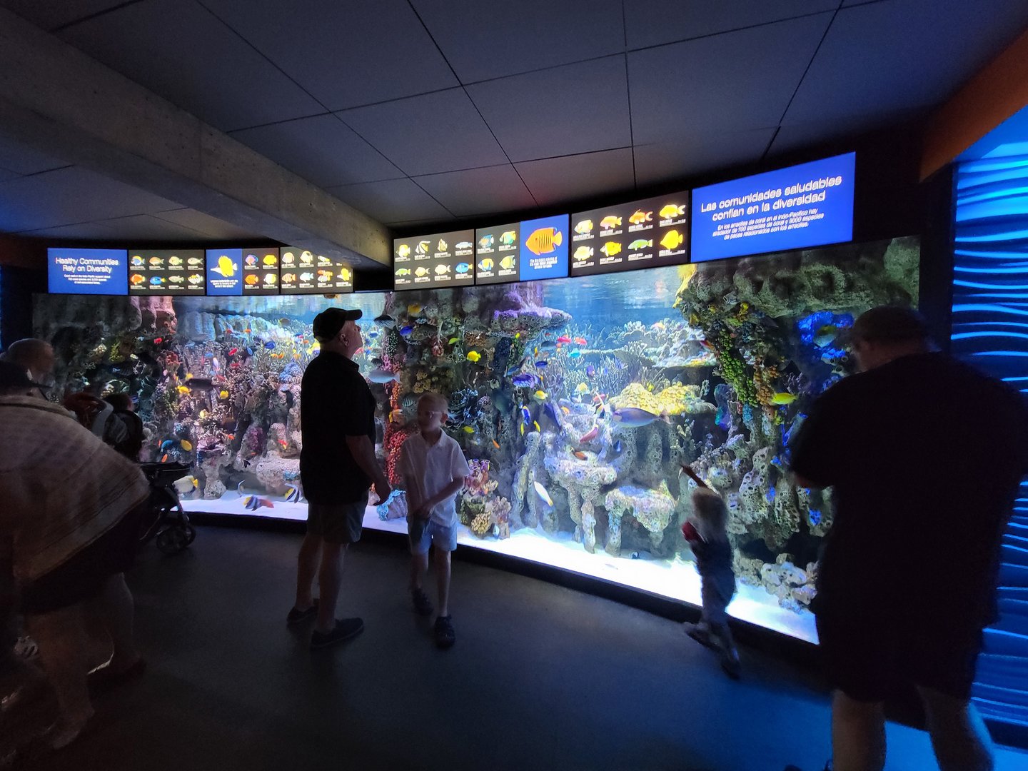 New England Aquarium - Main community tropical tank