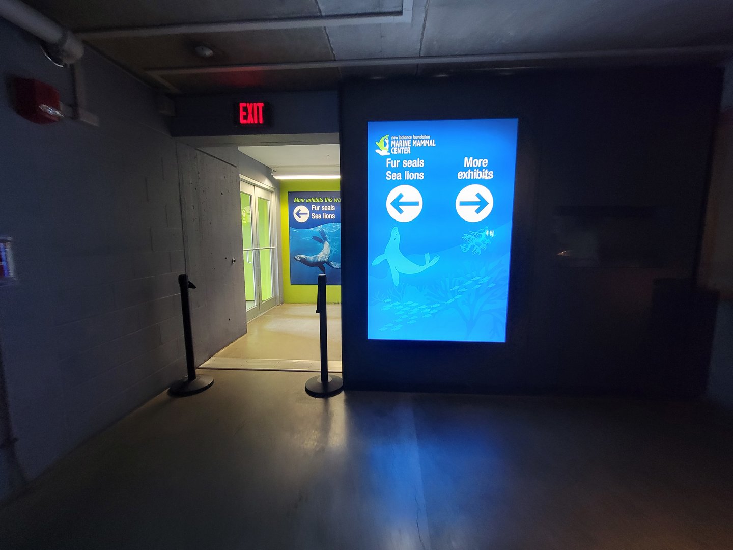 New England Aquarium - Path to Pinnipeds