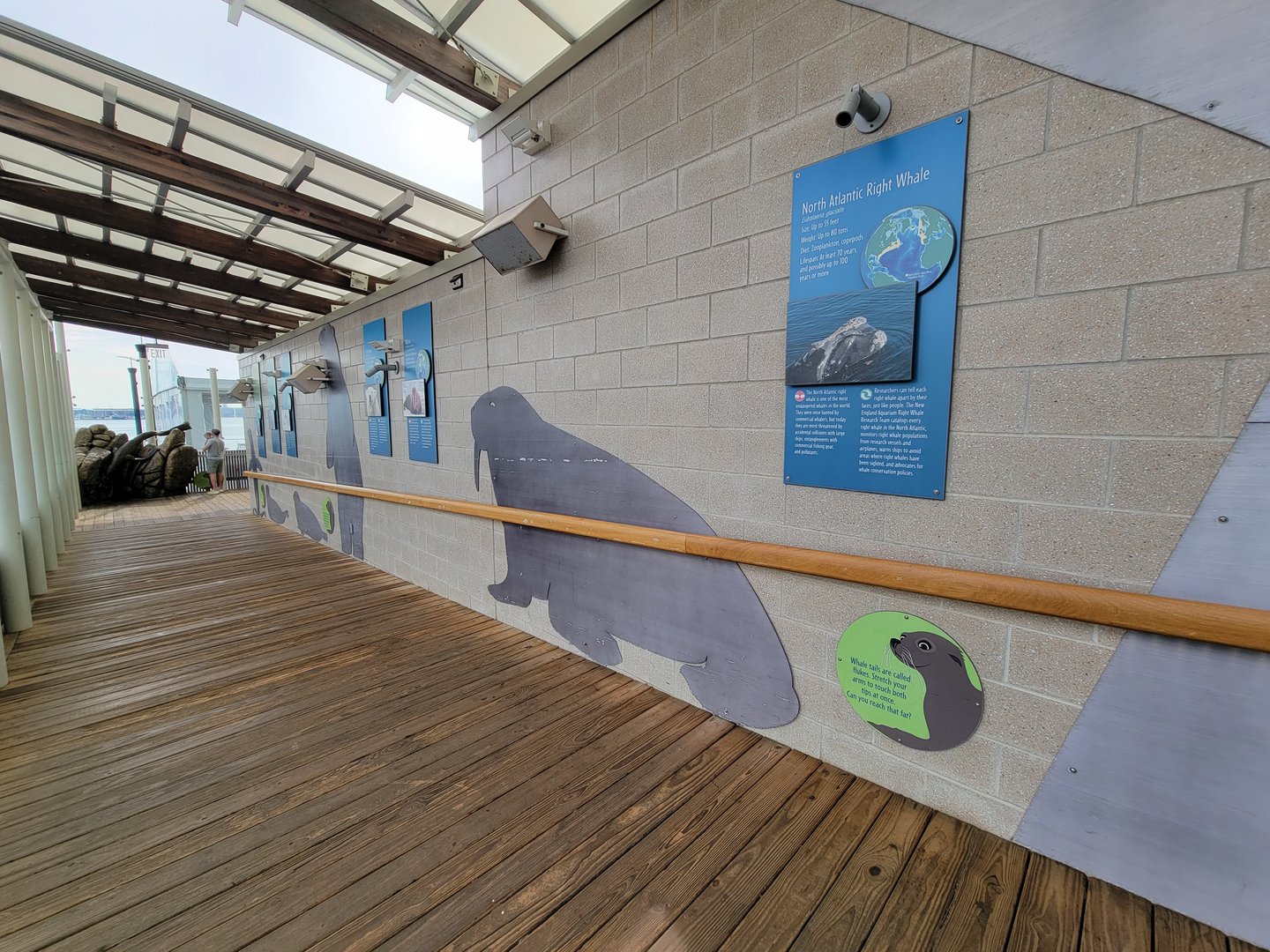 New England Aquarium - Path to Pinnipeds