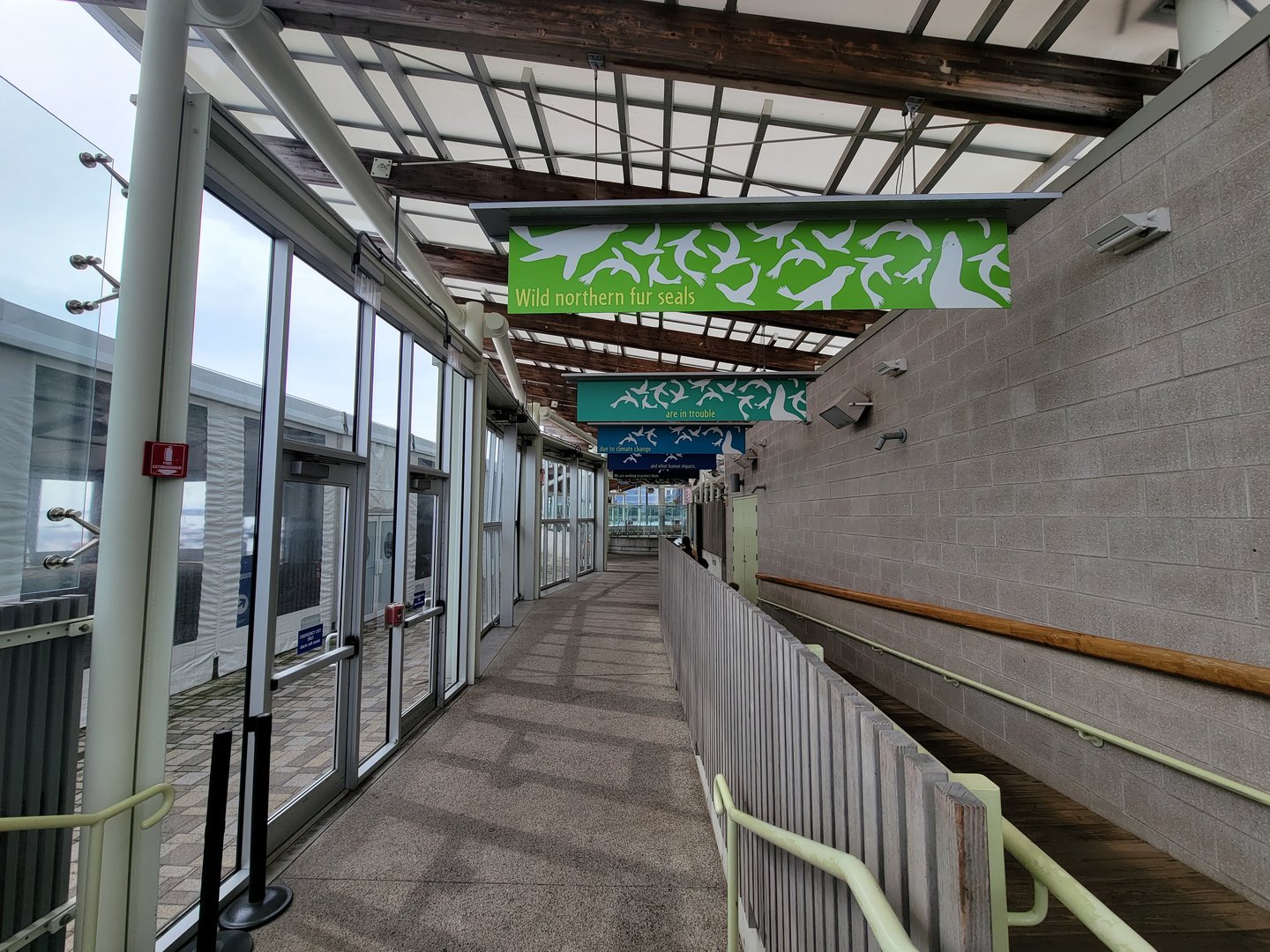 New England Aquarium - Path to pinnipeds