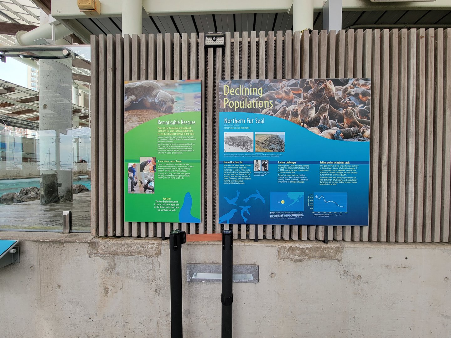 New England Aquarium - Pinniped info