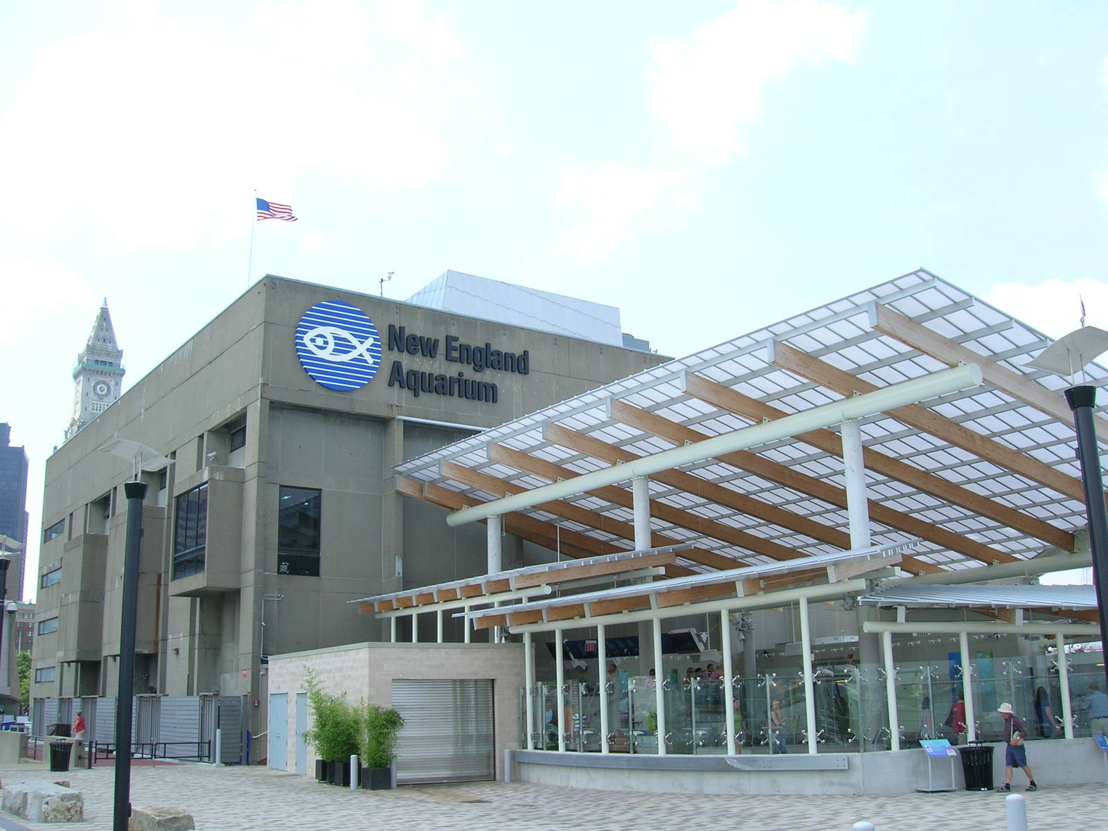 New England Aquarium Rear