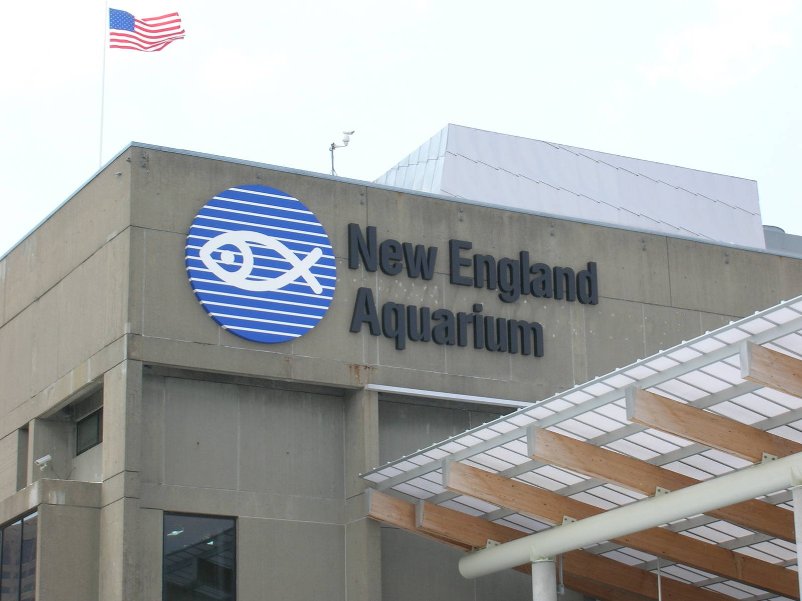 New England Aquarium Rear