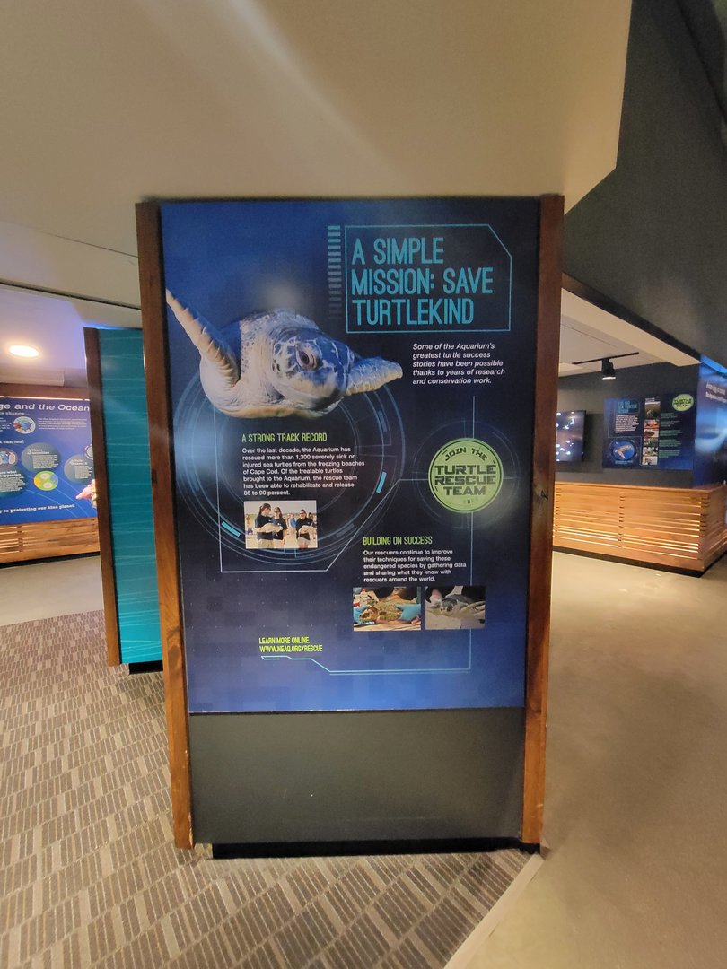 New England Aquarium - Save turtlekind