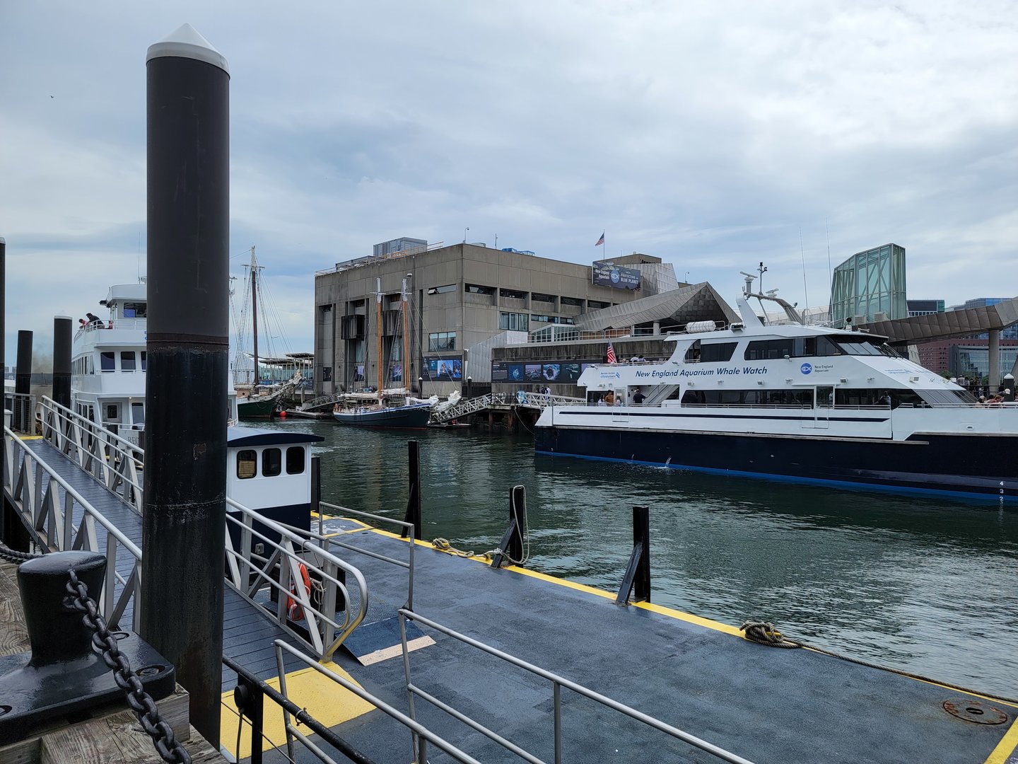 New England Aquarium