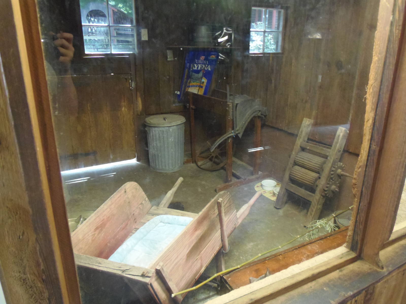 New England Farmyard- Domestic Cat Exhibit