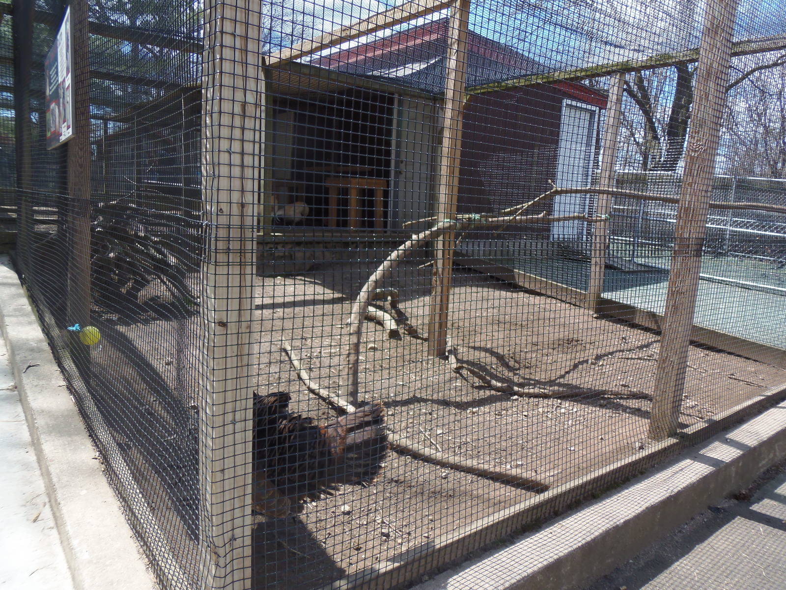 New England Farmyard- Domestic Poultry Coop #1