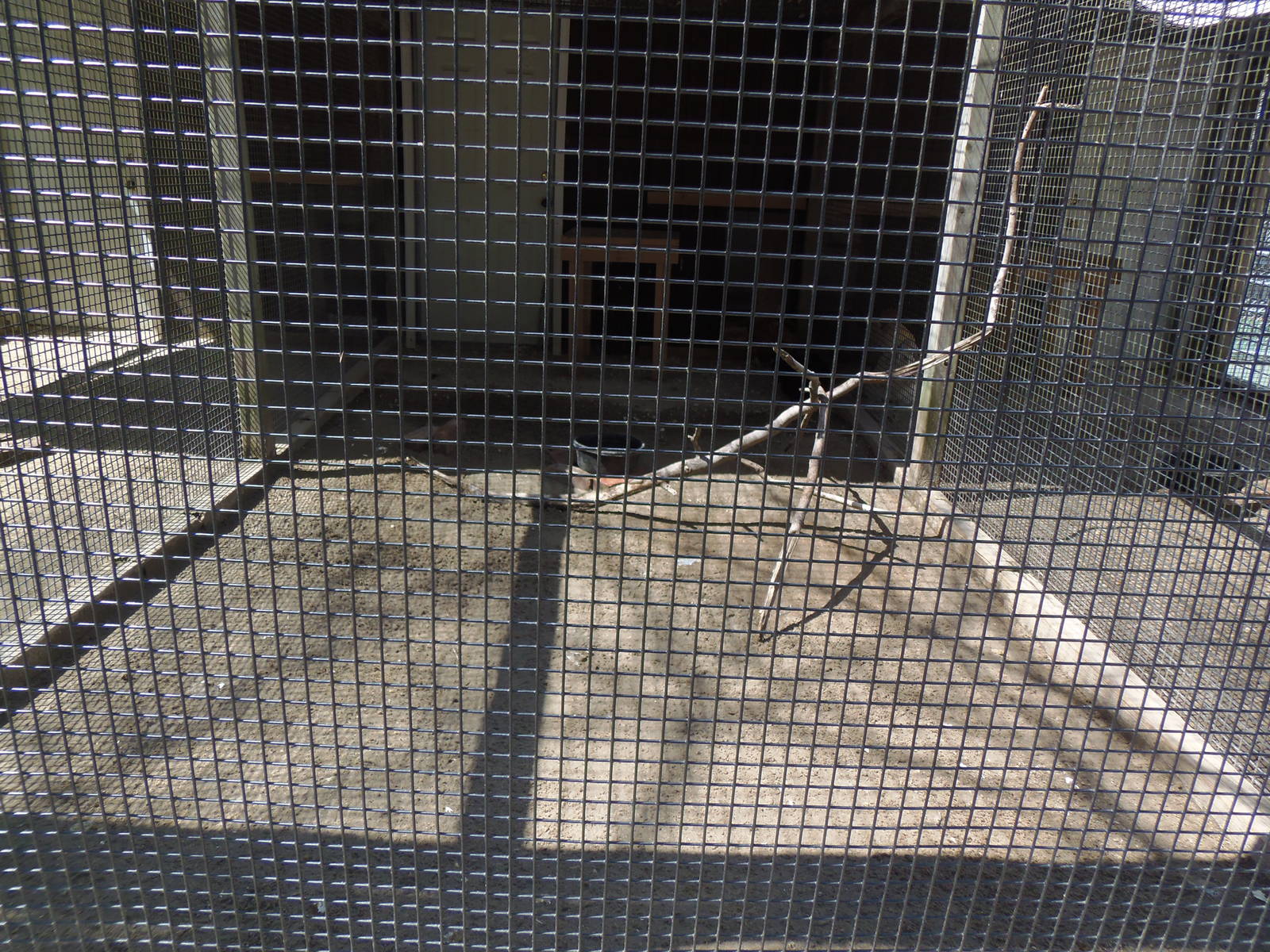 New England Farmyard- Domestic Poultry Coop #3