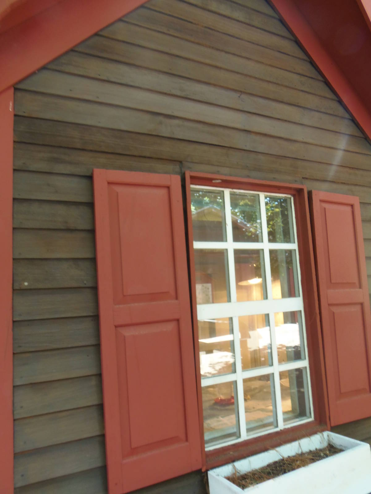 New England Farmyard- Duckling Exhibit