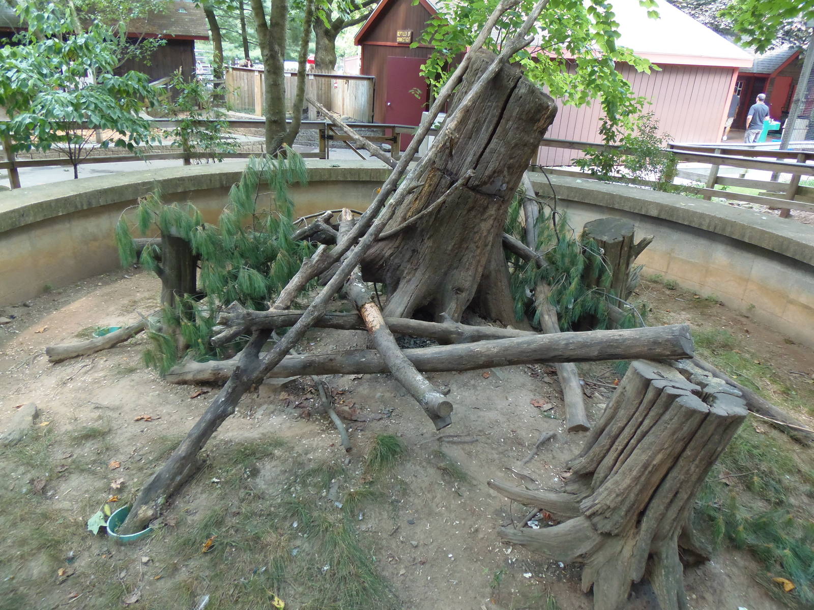 New England Farmyard- North American Porcupine Exhibit
