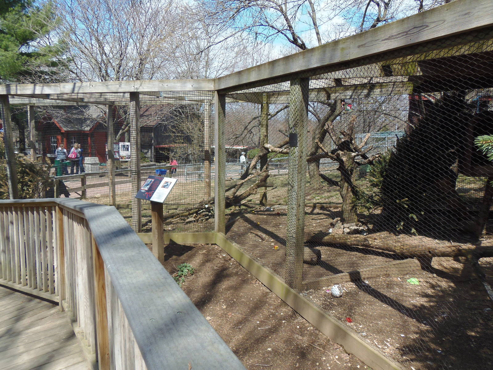 New England Farmyard- Northern Raven Exhibit
