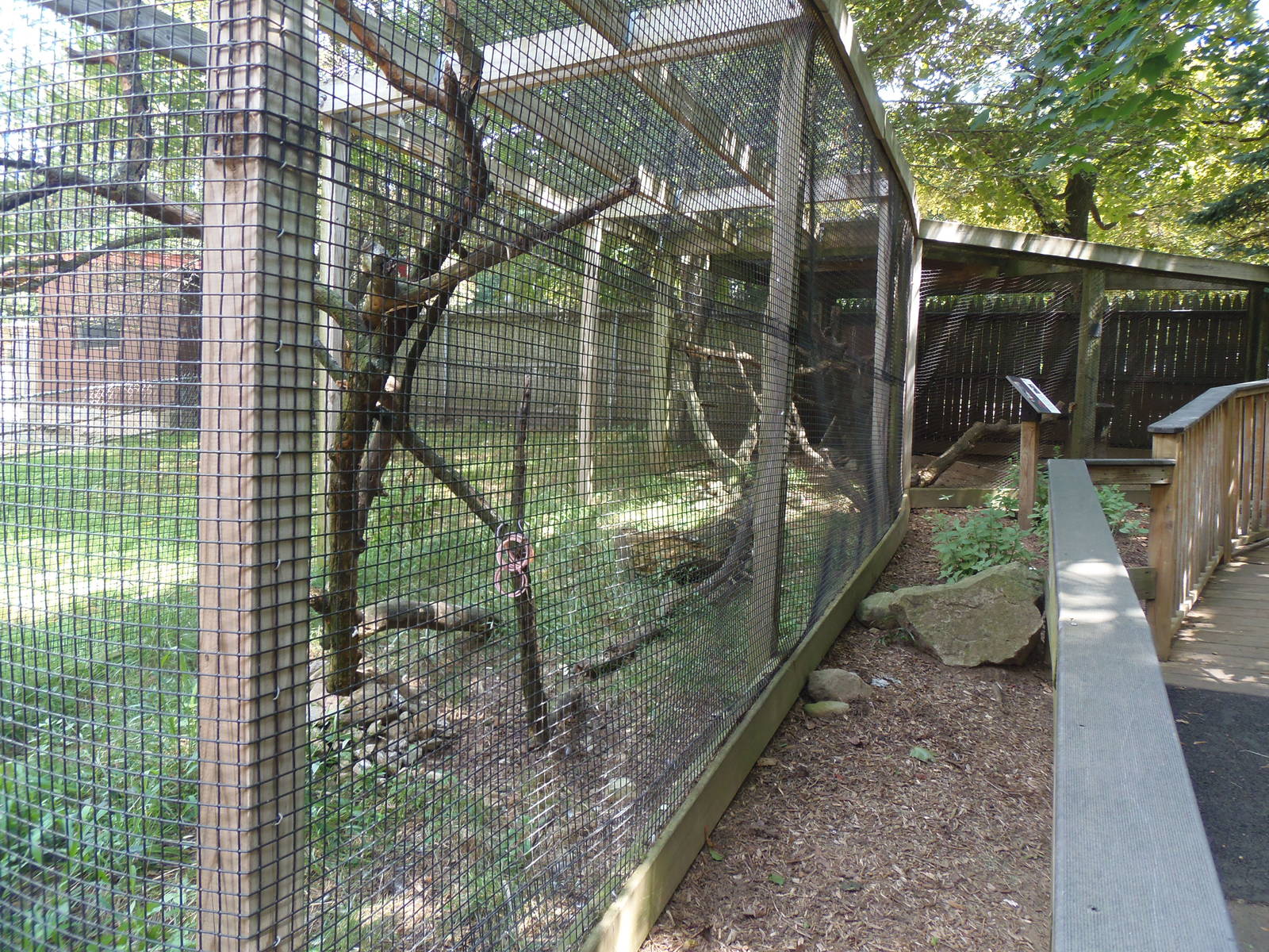 New England Farmyard- Northern Raven Exhibit