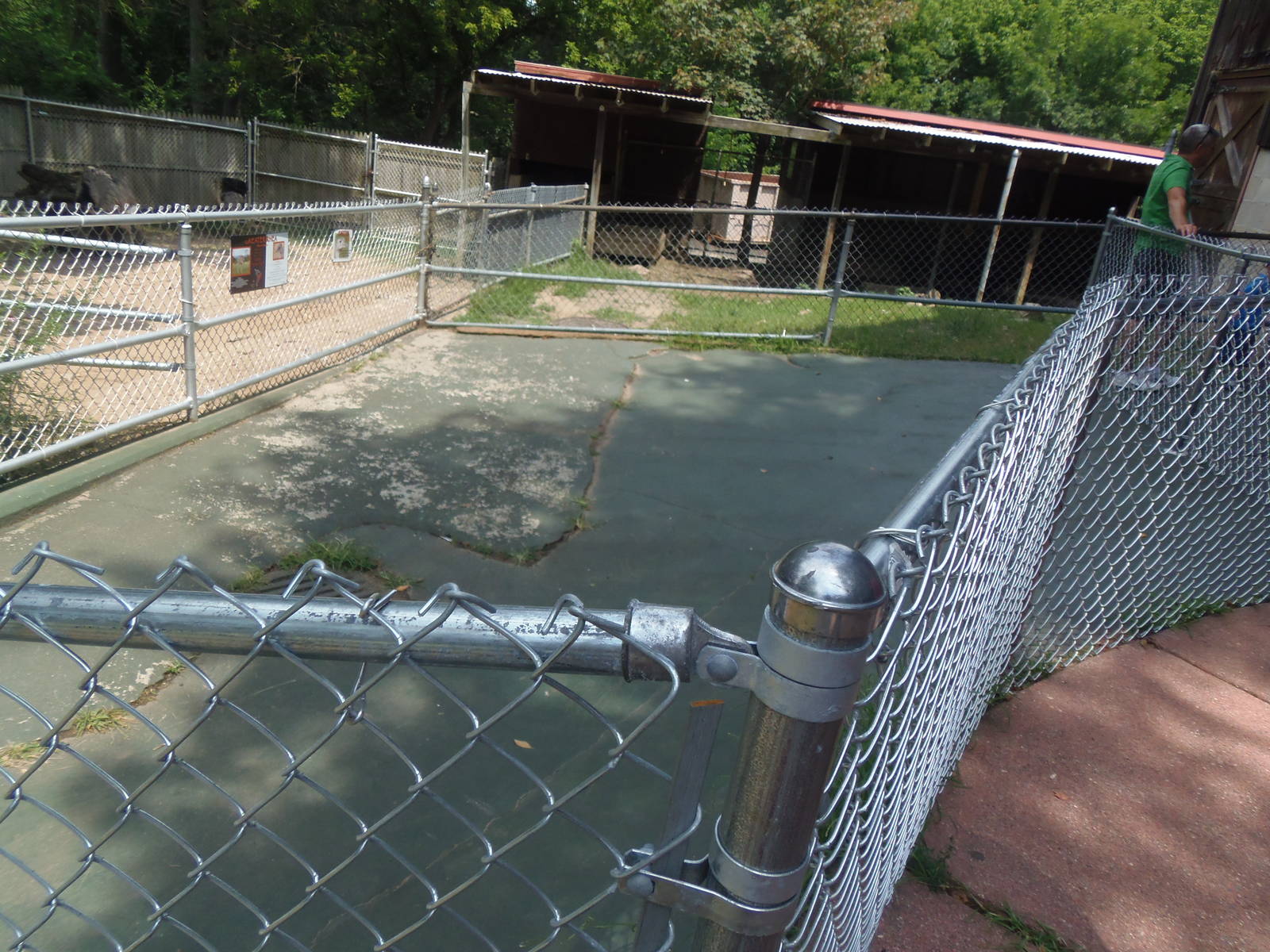New England Farmyard- Oddly Placed New Fencing