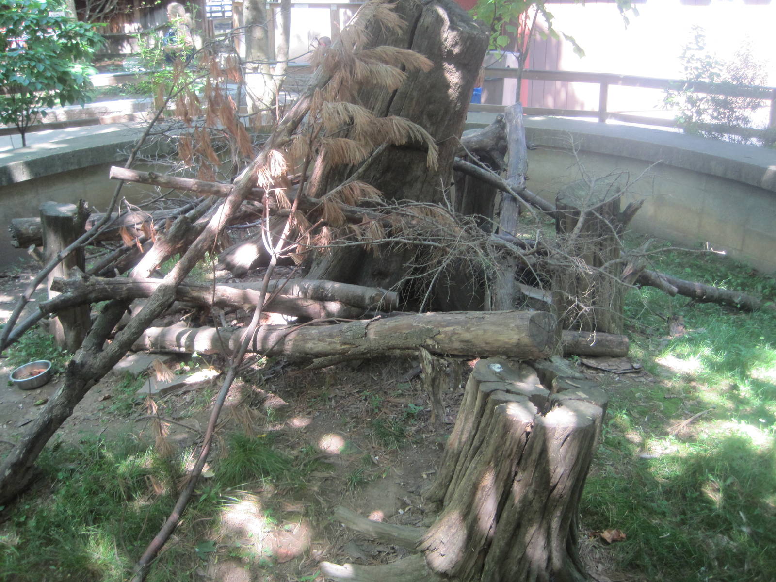 New England Farmyard- Porcupine Exhibit