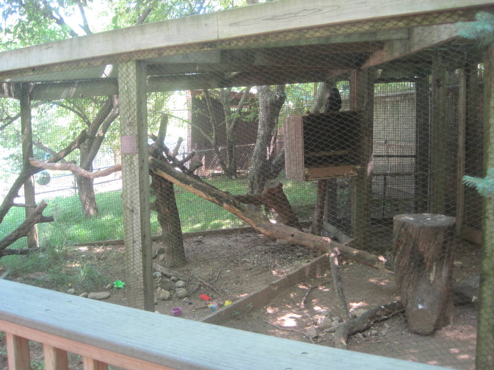 New England Farmyard- Raven Exhibit