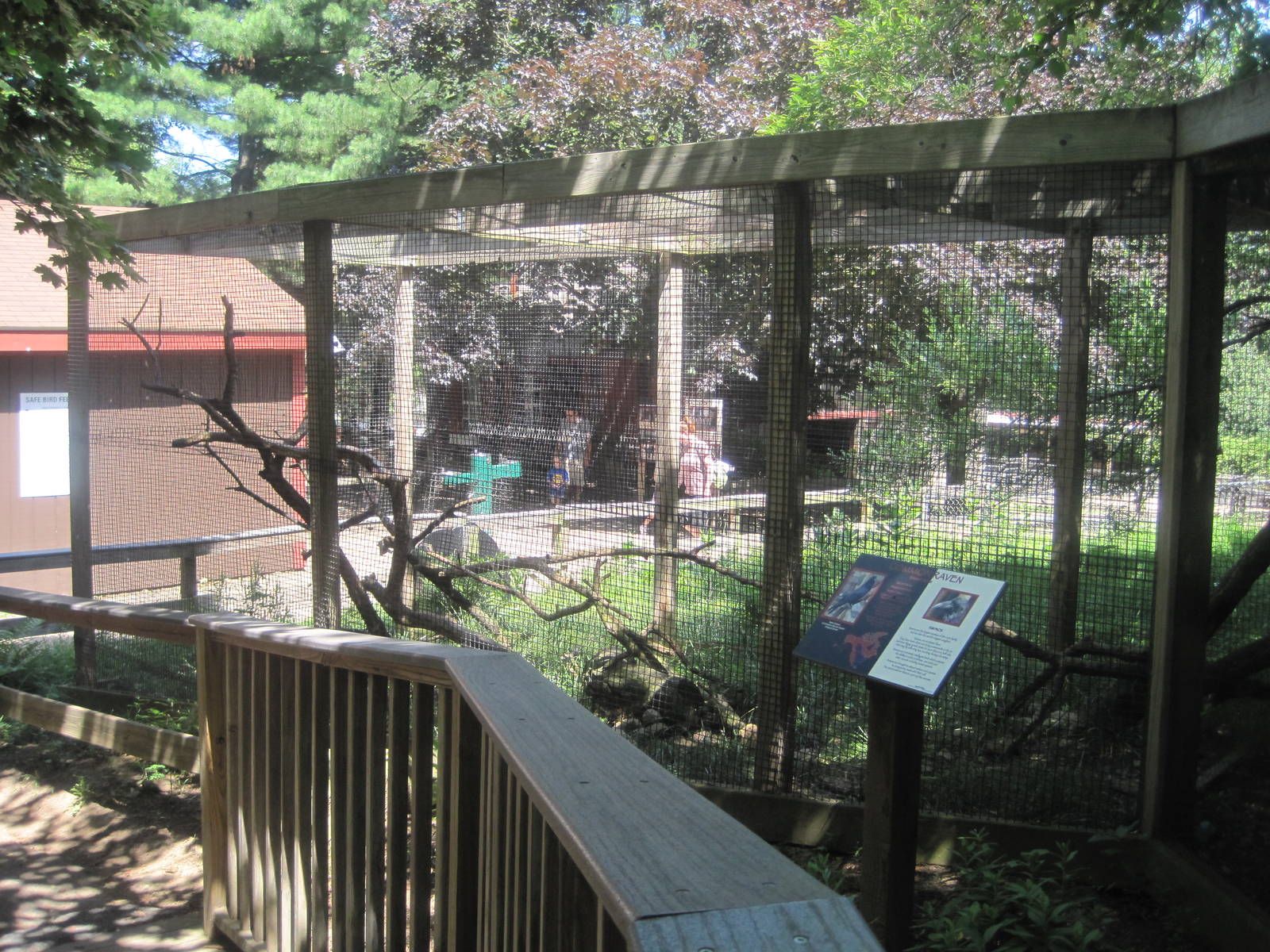 New England Farmyard- Raven Exhibit