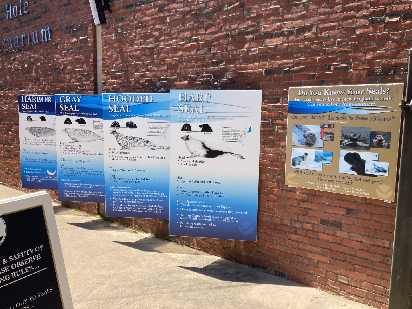 New England Seals Signage