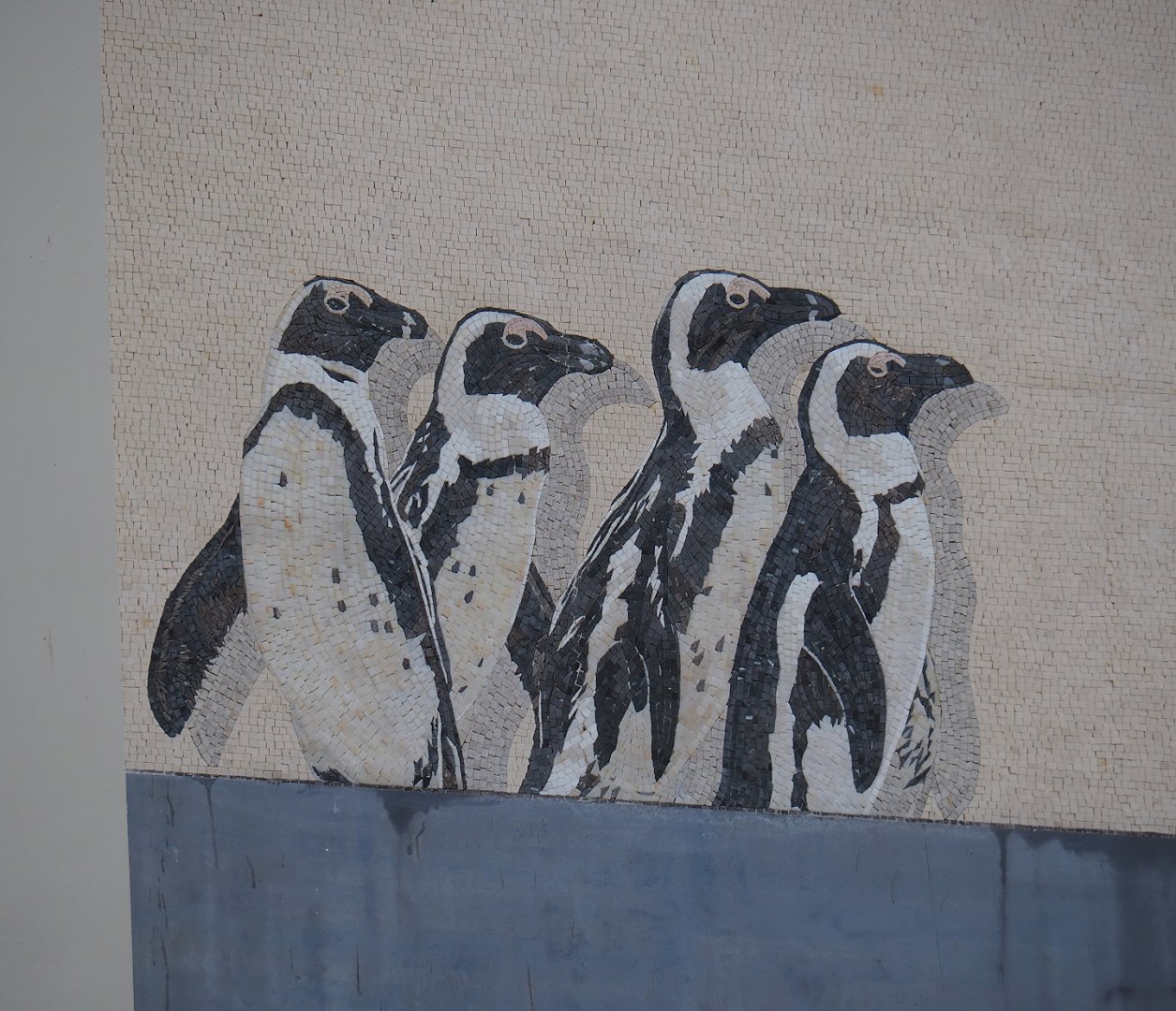 New entrance - African penguins mosaic, 2023-10-13