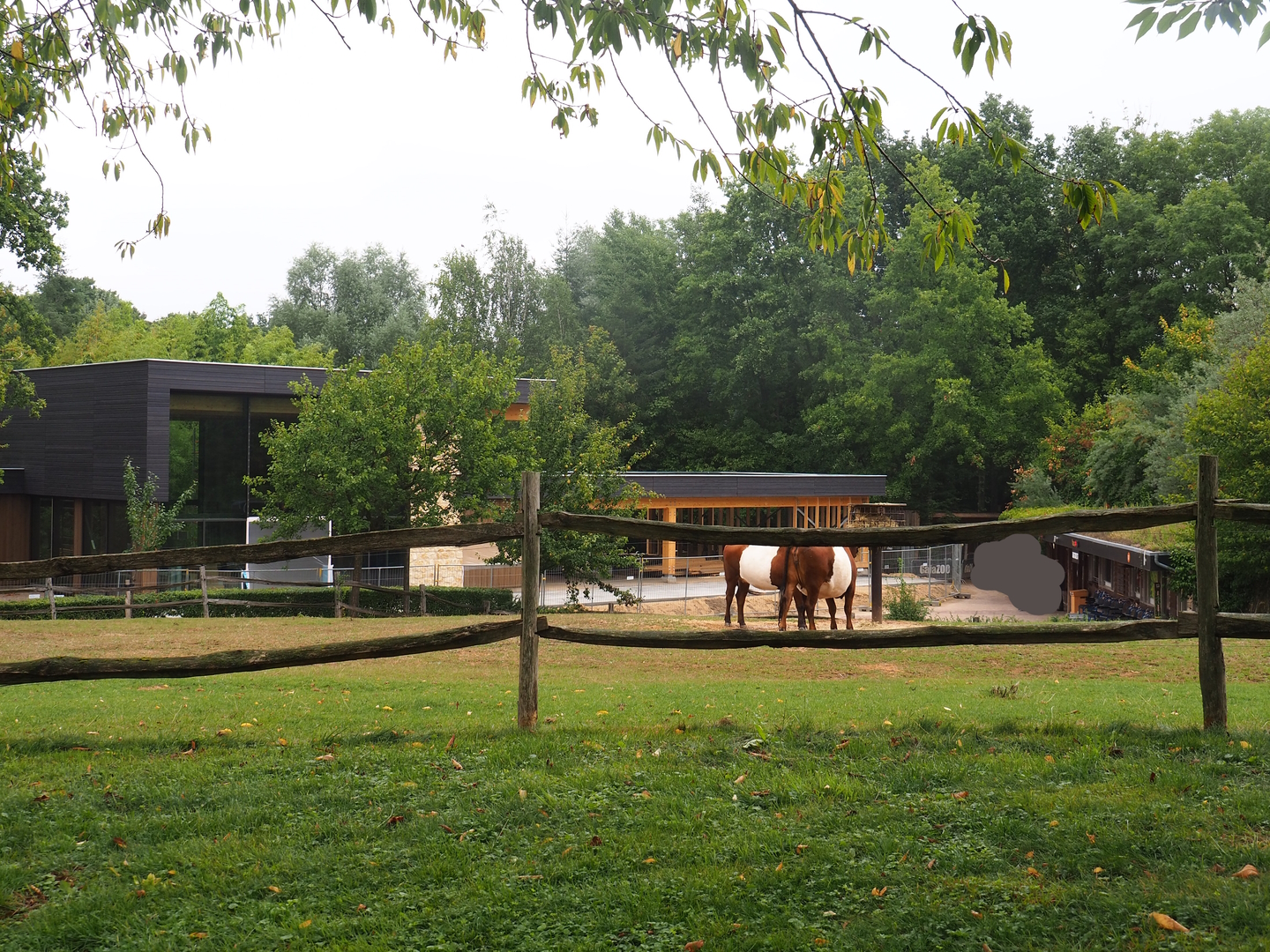 New entrance and gift shop building, Lakenvelder cattle paddock and Old ticket office building, 2022-08-20