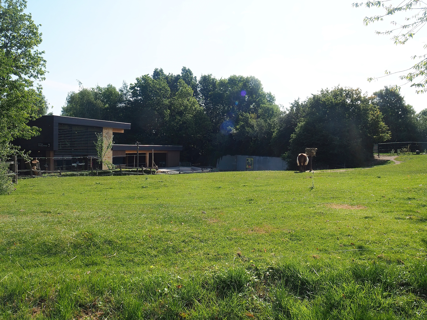 New entrance building and Lakenvelder cattle paddock, 2023-07-18