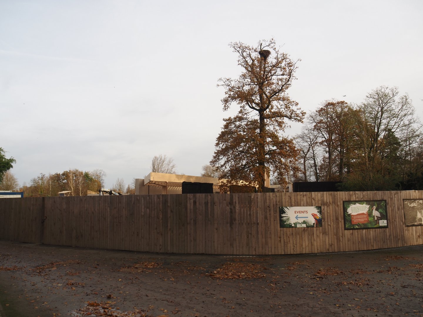 New entrance construction site, 2024-11-24