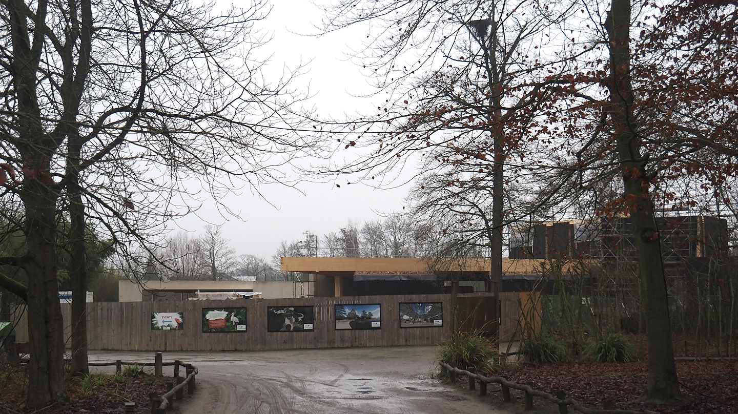 New entrance construction site, 2024-12-29