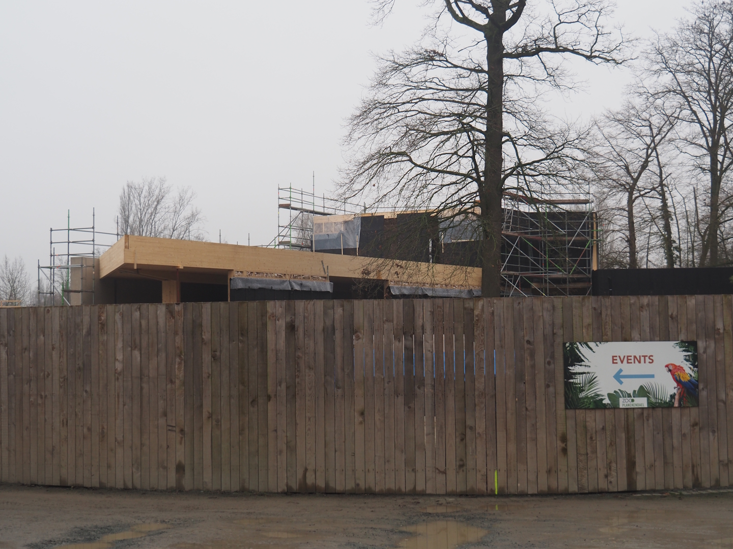 New entrance construction site, 2024-12-29