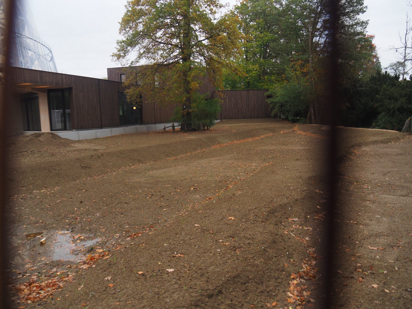 New entrance construction site - New wadi/bioswale with overflow into pelican pond, 2025-10-29