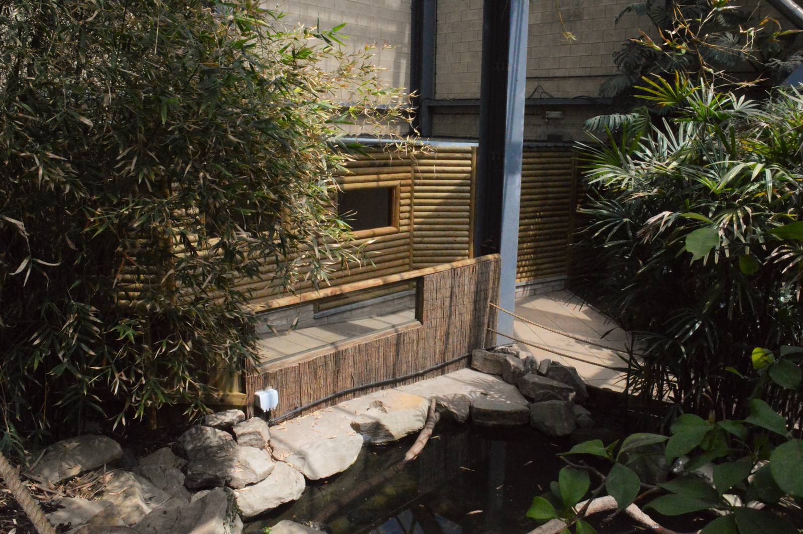 New entrance in lorikeet walkthrough.